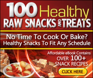 raw snack recipes book