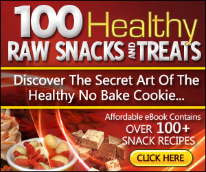 healthy raw food snack book